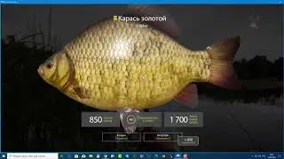 Русская Рыбалка 4. Новичку в игре - где рыба, что делать, как быть?