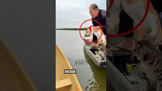 Dieser Mann wendet genialen Verstand an
