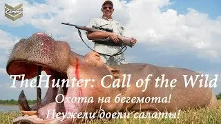 TheHunter: Call of the Wild - Охота на бегемота! Неужели доели салаты!