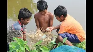 Amazing Nature♦primitave technology smrat boys find duck nest many egg eating deliciousness