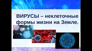 Что такое вирус؟ Популярная наука с Анной Урманцевой