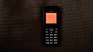 Samsung SGH-C180 - Fatal System Error