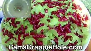 GOLDFINGER BUMP'N 500,000 PIECES! NOBODY IN THE WORLD BUT CAM'S CRAPPIE HOLE