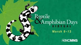 Solving Salamander Mysteries with DNA