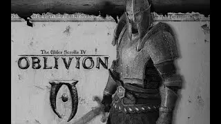 The Elder Scrolls IV Oblivion самая любимая игра в 2022 году не смотря на годы.