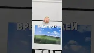 Как выглядит легендарный рабочий стол в 2025 году?