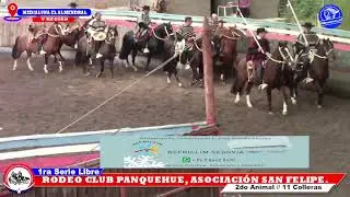 1RA SERIE LIBRE, RODEO CLUB PANQUEHUE, ASOCIACION SAN FELIPE, MEDIALUNA EL ALMENDRAL