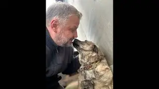 Хвостатое счастье в прямом эфире!