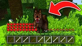 КАК ИГРАТЬ ЗА МОНСТРА ВОЛКА В МАЙНКРАФТЕ? ПРЕВРАЩЕНИЯ В MINECRAFT МОНСТР ВОЛК ШКОЛА МОНСТРОВ