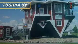 Уй тушда курса нима булиши хакида туш табири