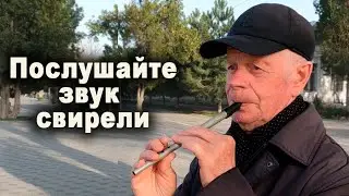 Старинная, русская свирель. Дуэт под свист.