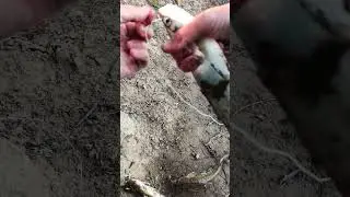 Рыбалка на Кубани лето