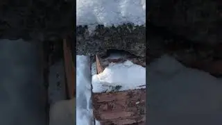 Тайник - 2 точка. Строгановская церковь.
