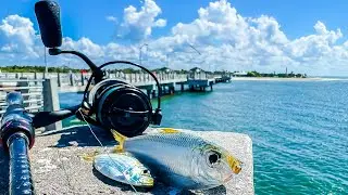 Fort De Soto Pier Mackerel Madness! Catch More Fish With This Bait
