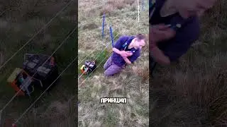 Электрические ограждения: Насколько они опасны? ⚡ 👈 🫨 