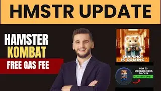 Hamster Kombat Snapshot || How to avoid Gas Fee Hamster Kombat Exchange Wallet Withdrawal Option