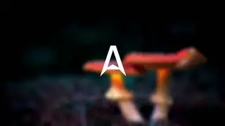ANTTON Live Set - Melodic Techno sessions