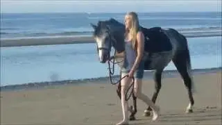 Sexy girl riding Horse !!