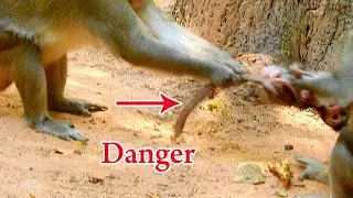 Million Shocking Heart, Aron Is so very Dangerous He wants to make short life For Anissa Very Bad