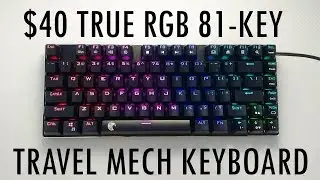 E-Element Z88 81-Key Mechanical Keyboard Review!