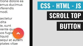 [ HTML | CSS | JS ]  Scroll to Top Button