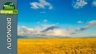 Таймлапс. Осенние мотивы.