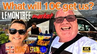 COST OF LIVING in Spain - We spend ONLY 10 euro at lemon tree market