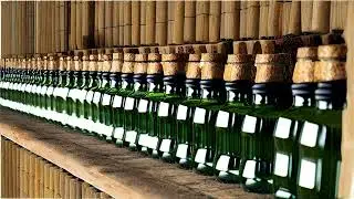 Harmony of Glass: Clinking Bottles Sound Effect | Copyright-Free and Ready for Use!