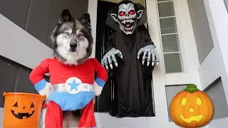 Kakoa's Favorite Halloween Trick or Treating!