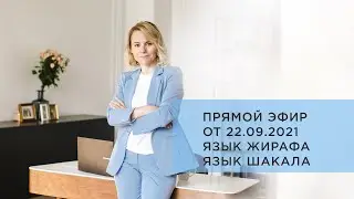 Ненасильственное общение: как предотвратить конфликты с детьми и подростками 🧠 