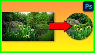 How to put an image Inside a Shape in Adobe Photoshop 2024