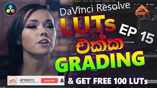 How to use Davinci Resolve 16 Sinhala Ep 15 - LUT Workflow