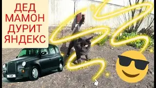 АРХАНГЕЛЬСК. РАБОТА В ТАКСИ. \ ДЕД МАМОН, КАК Я РАБОТАЮ.