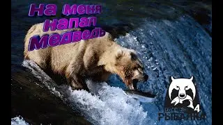 РУССКАЯ РЫБАЛКА 4 | НА МЕНЯ НАПАЛ МЕДВЕДЬ | РЕКА ЯМА