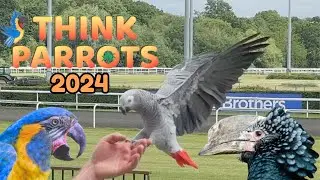 Think Parrots Show 2024 - Free Flying Bird Display and Walkaround | BirdNerdSophie