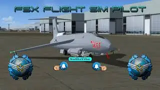 FSX Flight Sim Pilot
