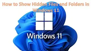 How to Show Hidden Files and Folders in Windows 11