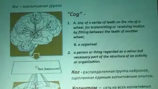 Константин Анохин - Разумный мозг: гиперсетевой принцип организации высших нервных функций