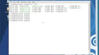 linux globbing