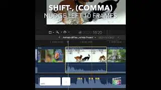 Final Cut Pro Shortcut | Shift-, (Comma) | Nudge Left 10 Frames