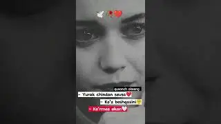 💔🥹🕊️ 