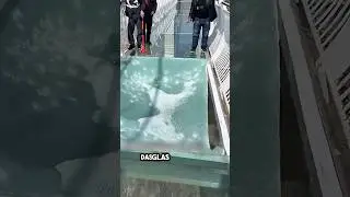 Plötzlich bricht das Glas des Porzellans ohne Grund 😮