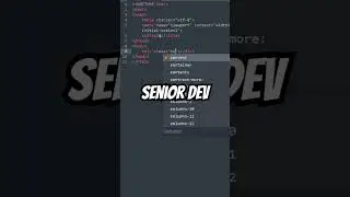 JUNIOR vs SENIOR DEVELOPER