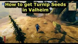 getting Turnip Seeds Fast from Swamps ( First blob kill hhhh ) Valheim Mistlands