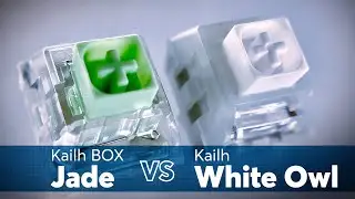 Kailh BOX Jade VS Kailh White Owl Sound Test | Battle of the Titans!