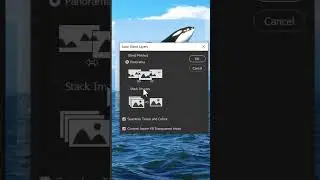 Auto Blend 