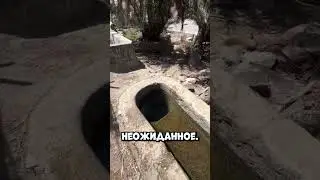 Он исчез в подводном туннеле и слишком долго не всплывал #shorts (@simi_brunner IG)