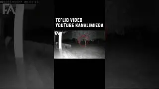 Daxshatli mahluq😱 To'liq video YouTube kanalimizda! 