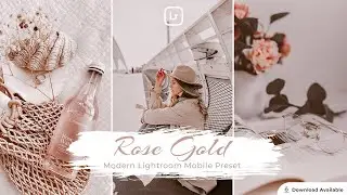 Rose Gold | Lightroom editing | Lightroom Mobile Preset Free DNG