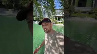 С Новым Годом! Я вас всех люблю котята  | мемы | приколы от zubarefff 